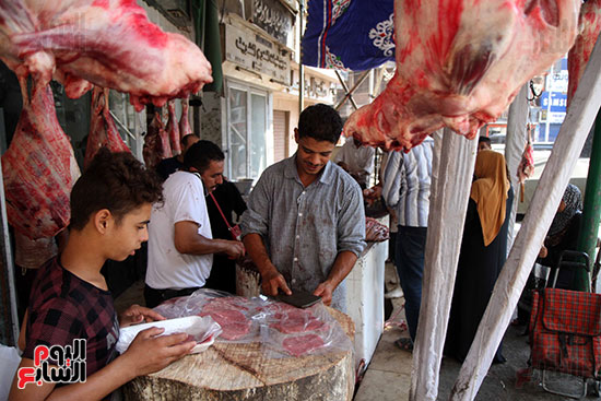 شوادر اللحوم تغزو شوارع القاهرة (6)