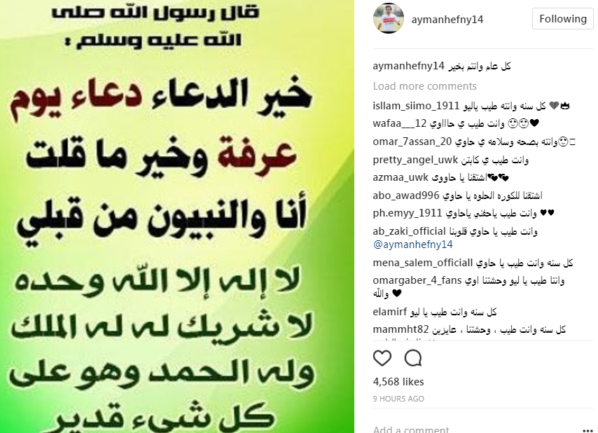 ايمن حفنى