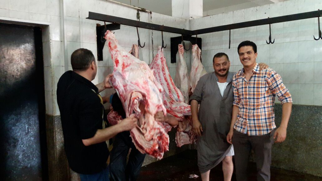 ختم الذبائح بالأختام السرية بمجزر دمنهور