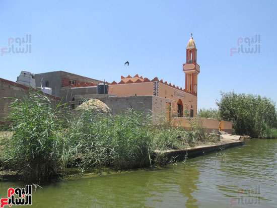  مسجد المجيد التابع لمديرية أوقاف بورسعيد بجزر بحيرة المنزلة