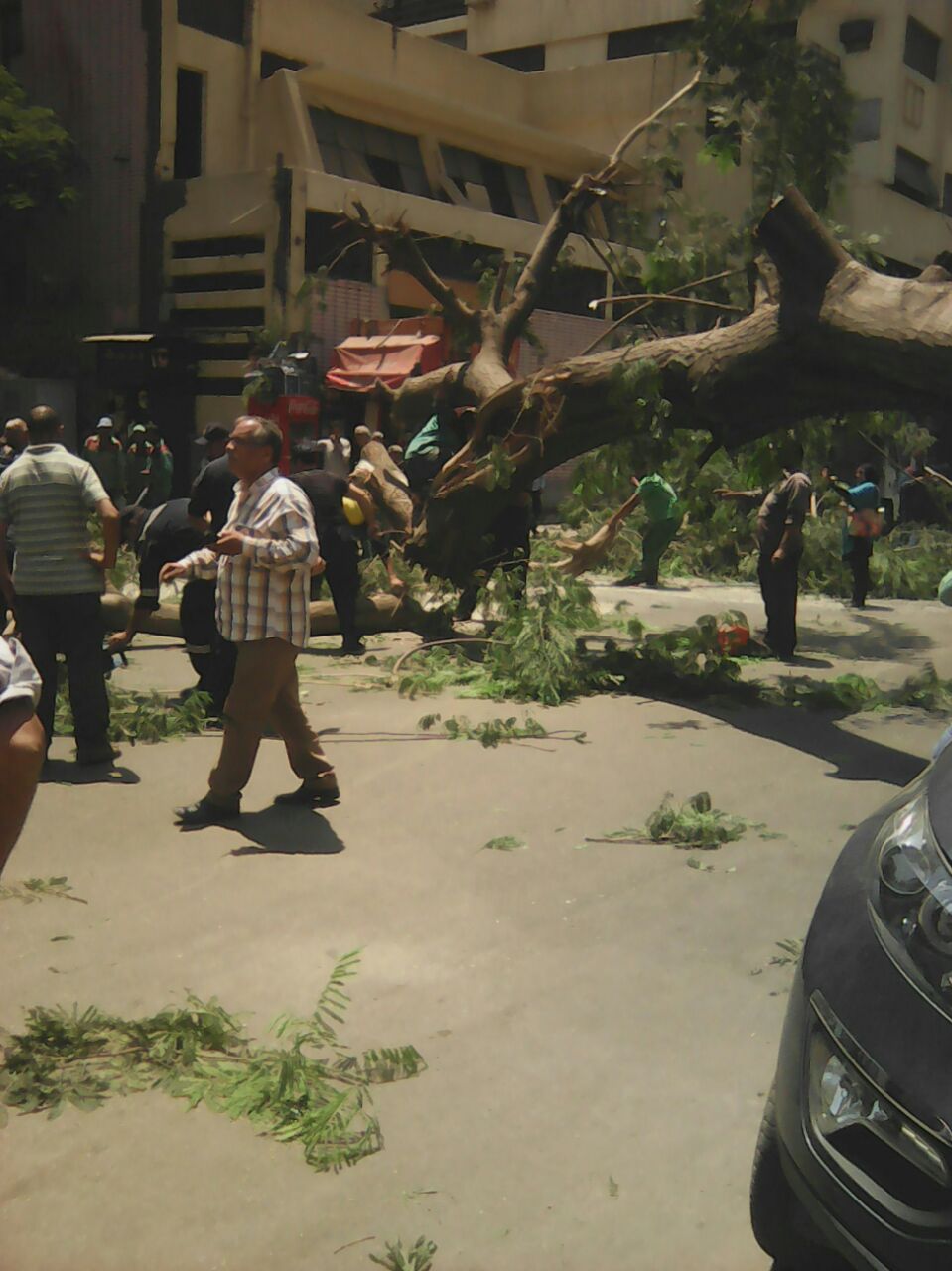 سقوط شجرة في شارع التحرير