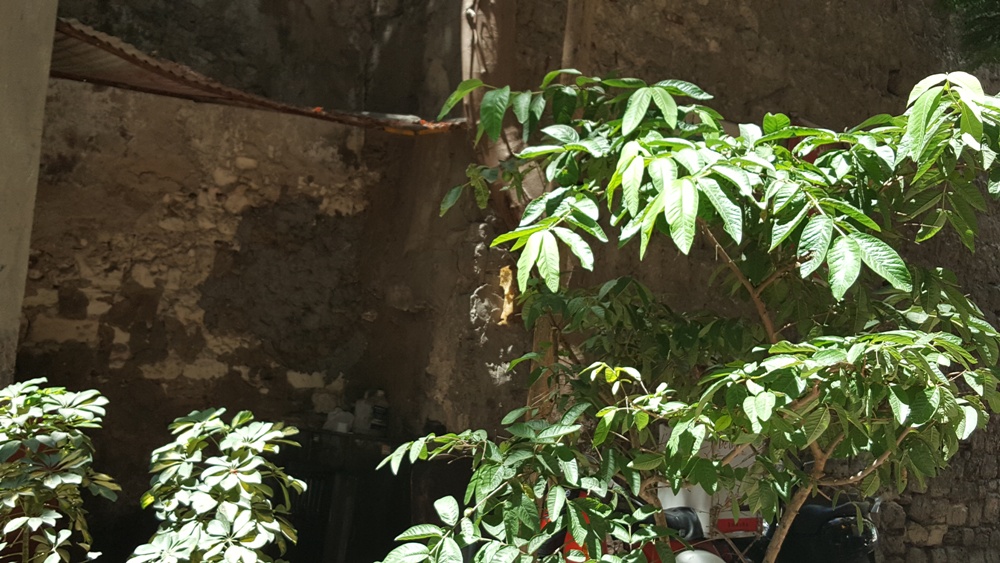 جانب اخر من الحمام من الخارج