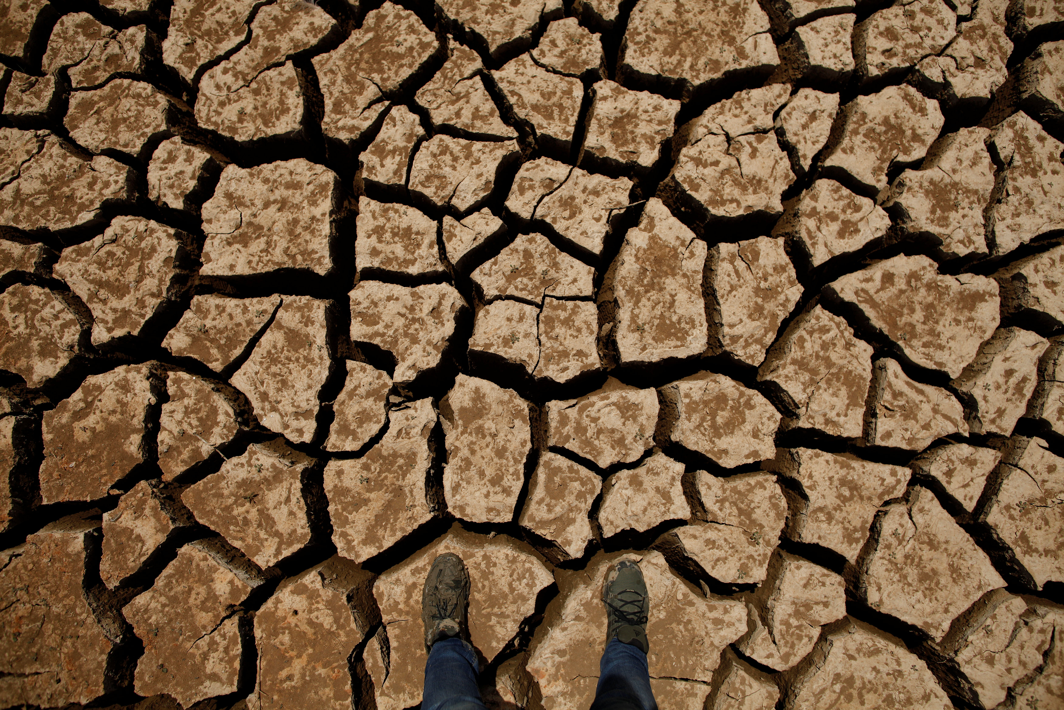 الأراضى الزراعية فى اسبانيا اصابها الجفاف