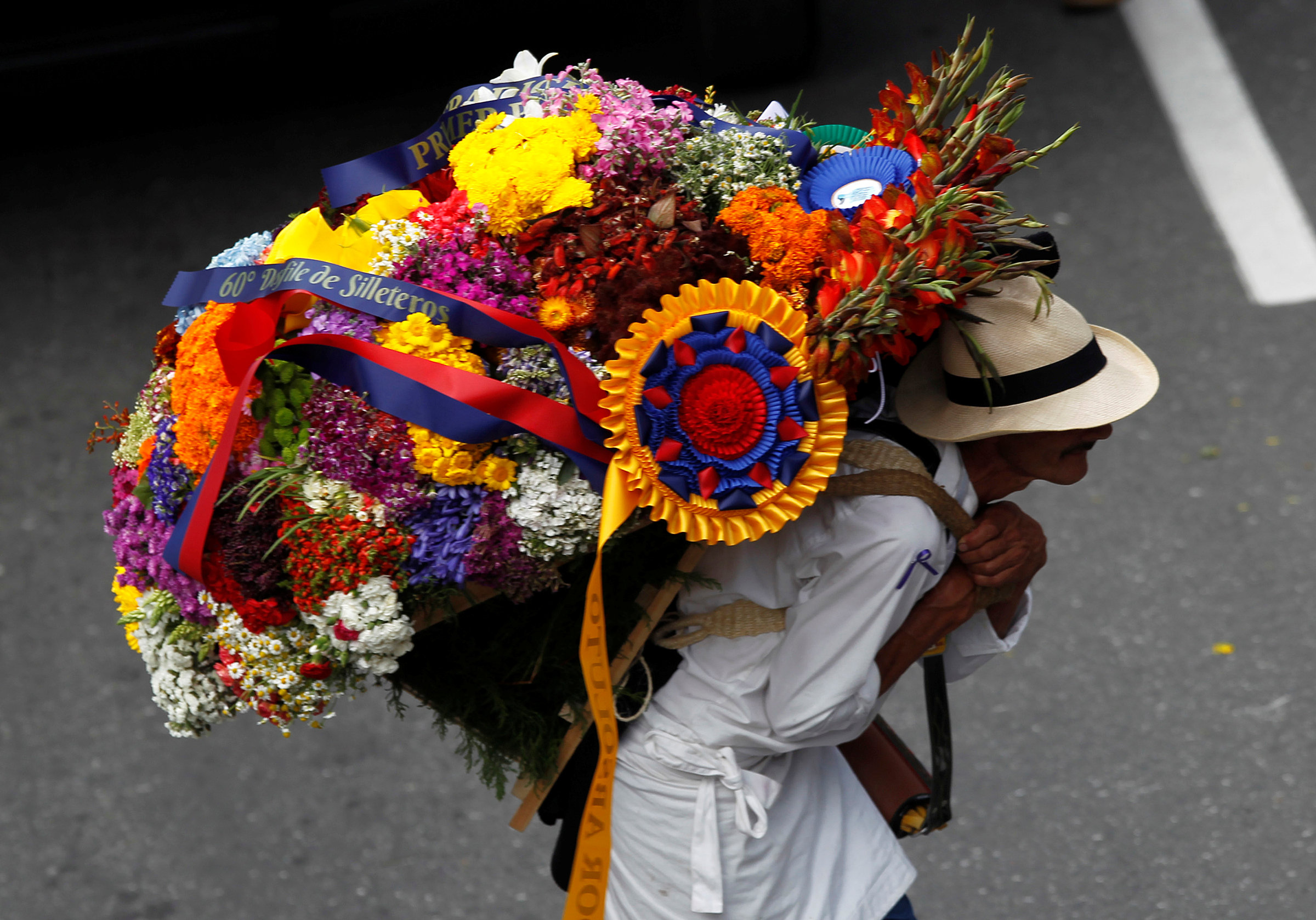 Цветы колумбии и их