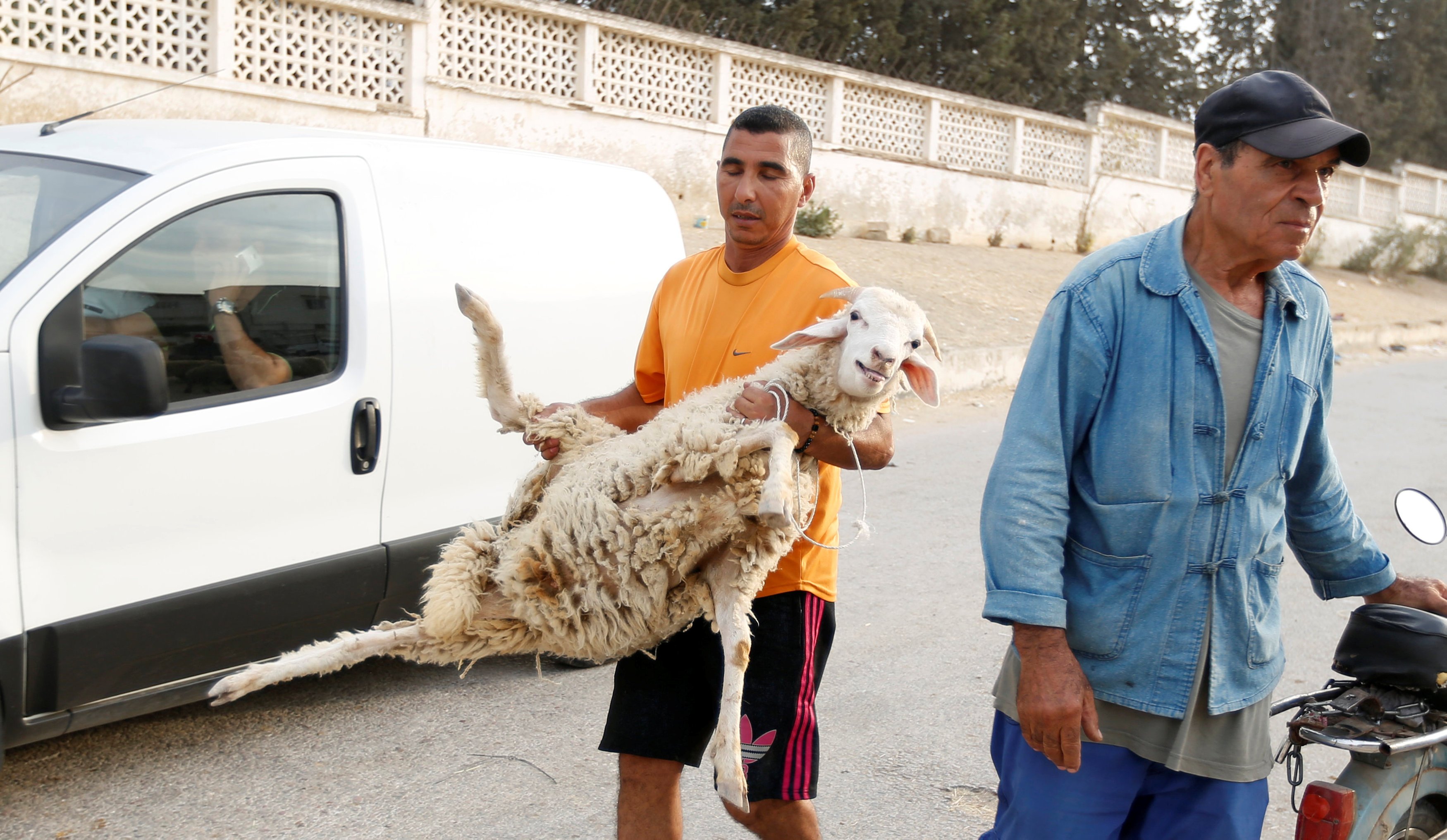 استعدادات عيد الأضحى فى تونس