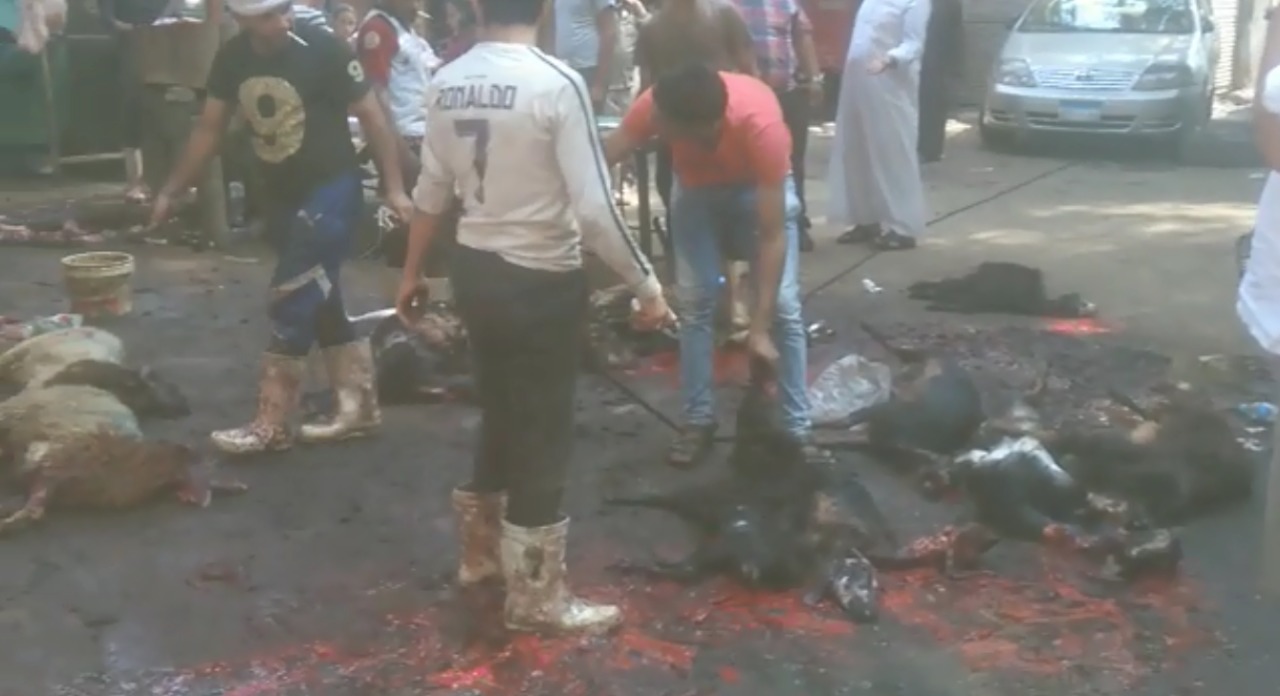 مواطنون يذبحون أضاحى العيد فى شوارع ميت عقبة (3)