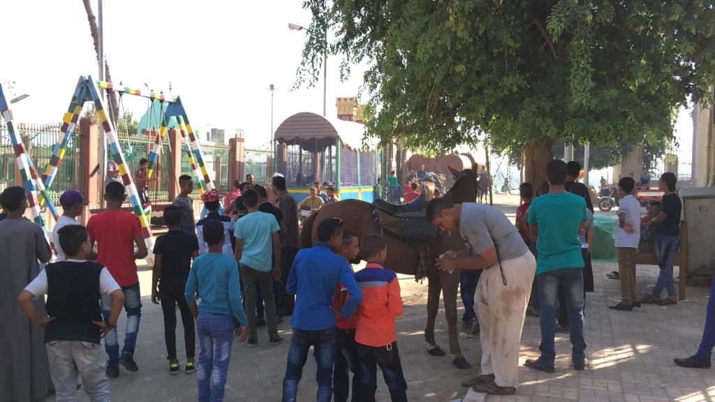 ركوب الخيل والموتوسيكلا فرحة الاطفال في العيد باسيوط (2)