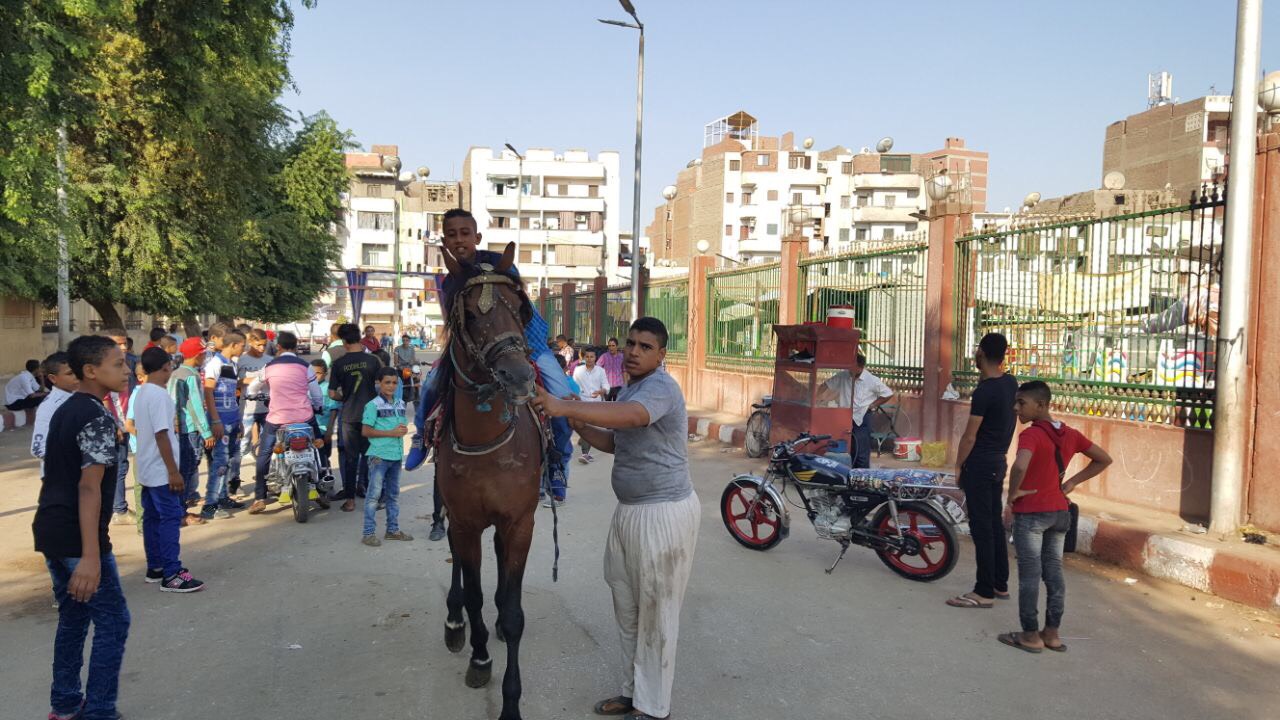 طفل يركب الخيول فى العيد 