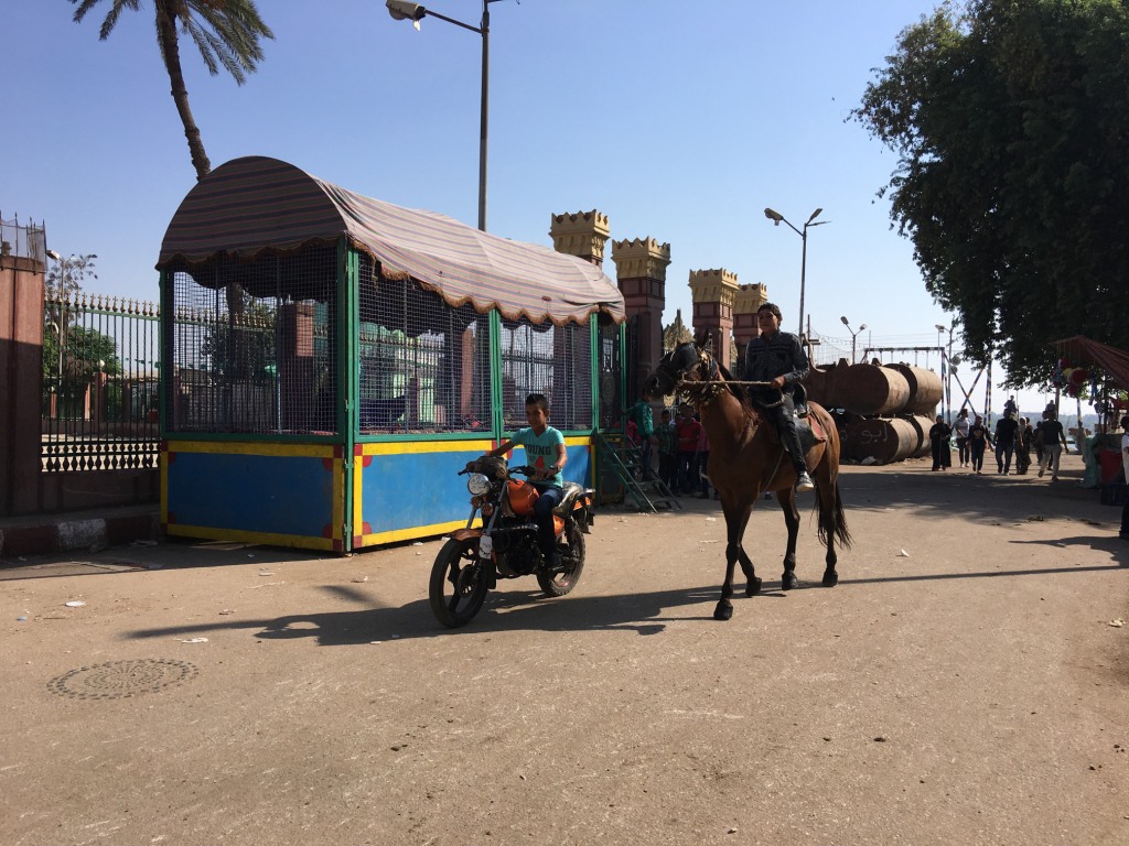 ركوب الخيل والموتوسيكلا فرحة الاطفال في العيد باسيوط (5)