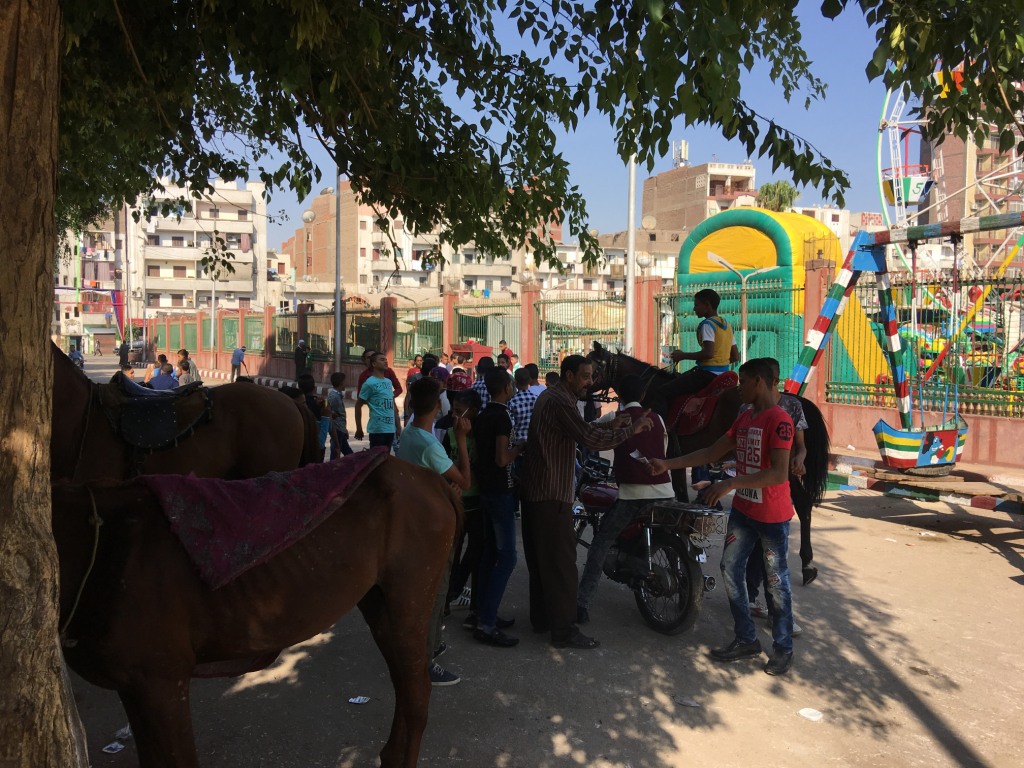 ركوب الخيل والموتوسيكلا فرحة الاطفال في العيد باسيوط (4)