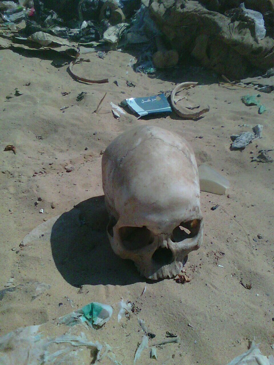 عظام وجماجم بشرية  (2)