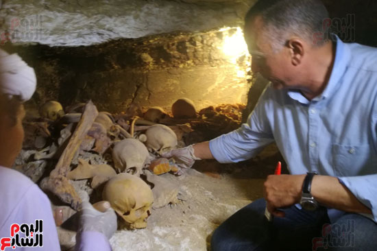 العظام المكتشفة داخل مقابر كبار رجال الأسرة 18 الفرعونية