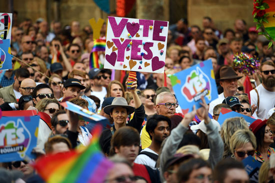 لافتة-تطالب-بالتصويت-بنعم-على-استفتاء-المثليين