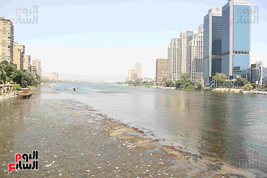 تلوث مياه النيل (11)