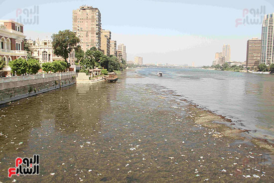 تلوث مياه النيل (12)