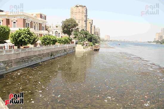 تلوث مياه النيل (5)