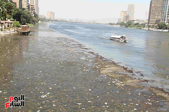 تلوث مياه النيل (16)