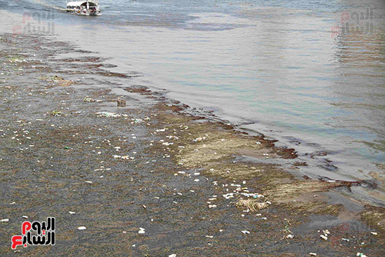 تلوث مياه النيل (13)
