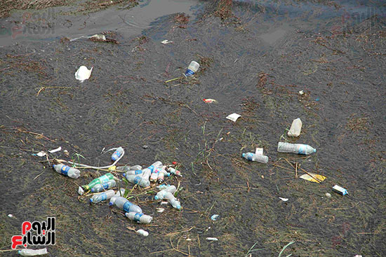 تلوث مياه النيل (2)