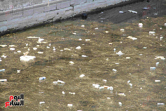 تلوث مياه النيل (6)