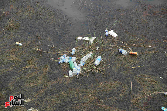 تلوث مياه النيل (1)