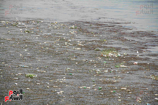 تلوث مياه النيل (7)