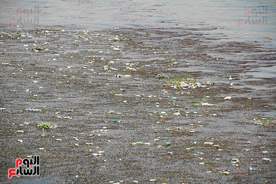 تلوث مياه النيل (3)