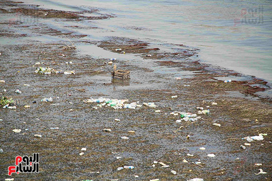 تلوث مياه النيل (4)