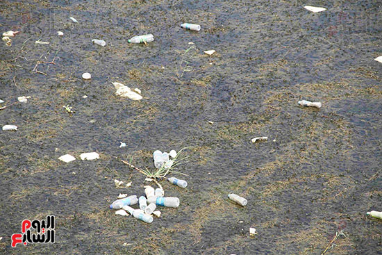 تلوث مياه النيل (8)