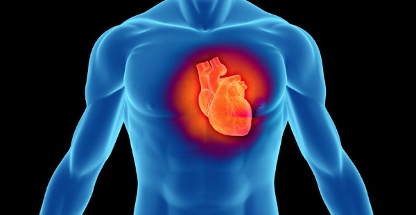 صحة-القلب-2