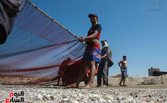 صيد سمك السردين ببورسعيد (29)