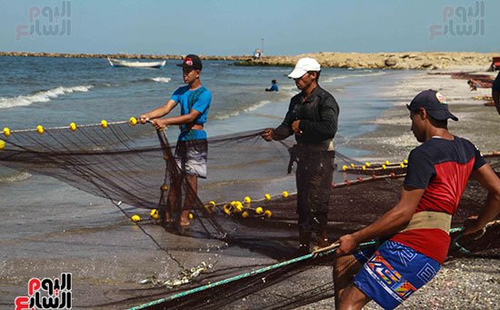 صيد سمك السردين ببورسعيد (30)