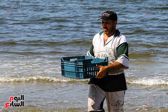 صيد سمك السردين ببورسعيد (26)