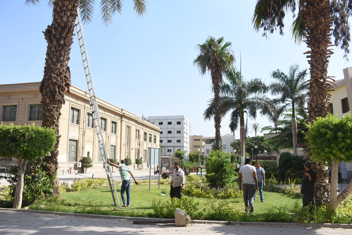 جامعة القاهرة تتجمل لاستقبال العام الدراسى (2)