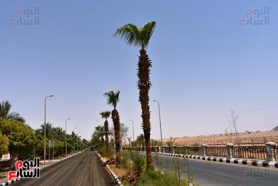 طريق مدينة أبوسمبل