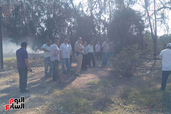 حريق يلتهم 400 شجرة بسبب حرق قش الأرز فى كفر الشيخ (5)