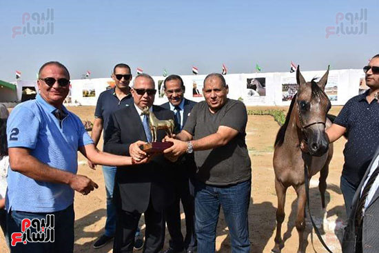 تكريم الفائزين بمهرجان الخيول