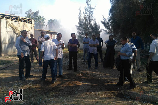 حريق يلتهم 400 شجرة بسبب حرق قش الأرز فى كفر الشيخ (8)