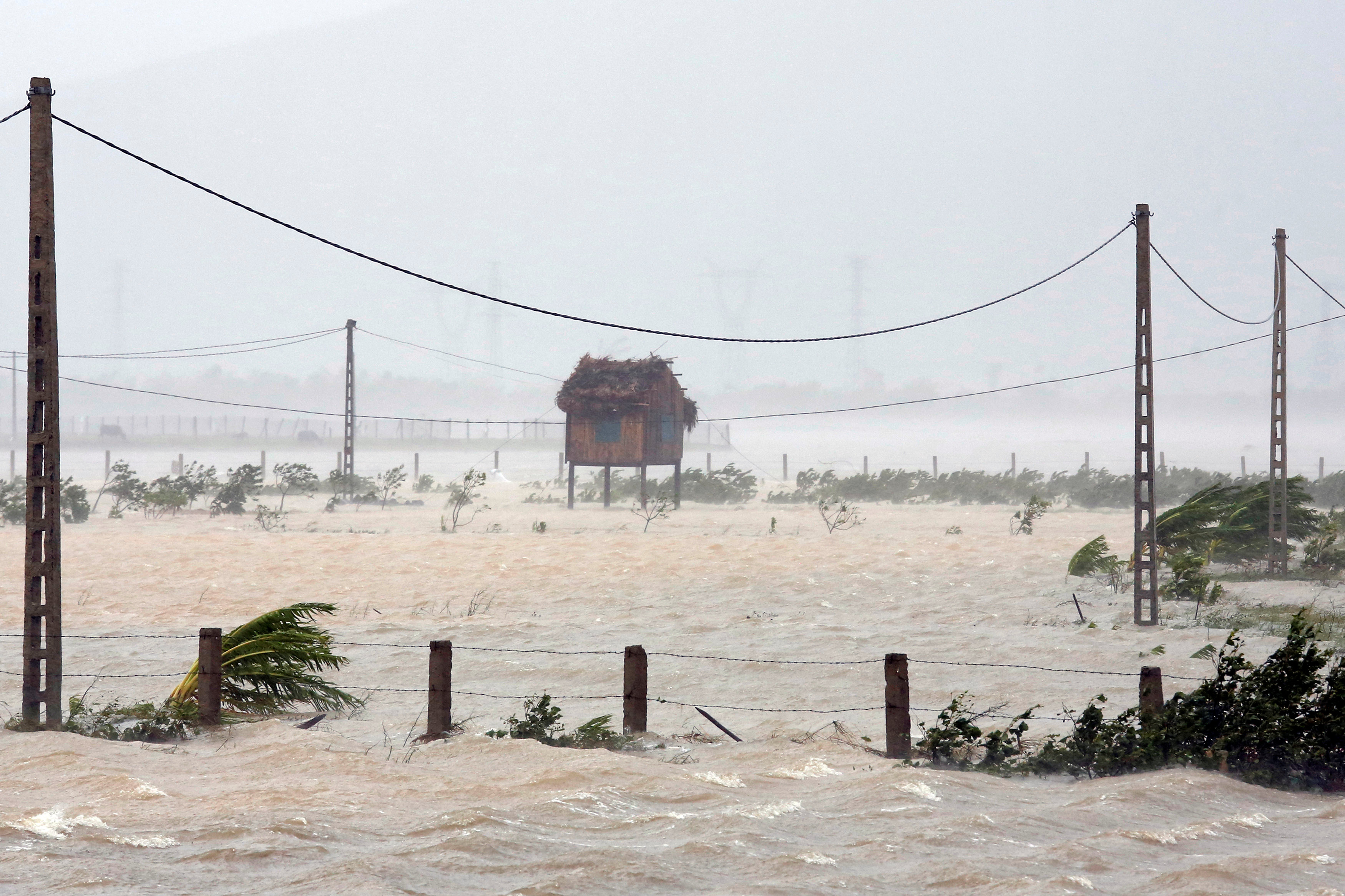 الإعصار دوكسورى يجتاح فيتنام  (9)