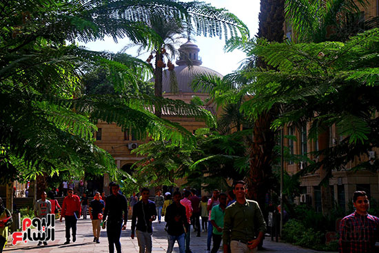 جامعة القاهرة (6)