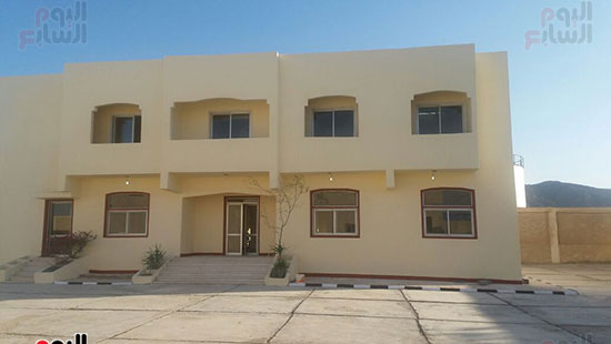 جراد (6)