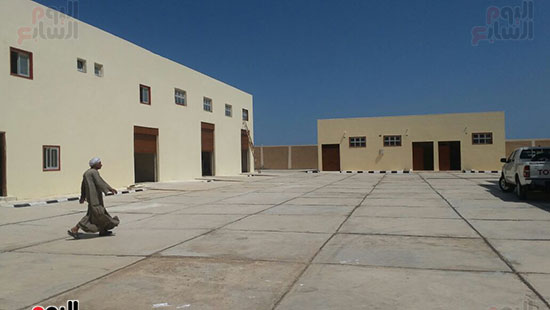 جراد (2)