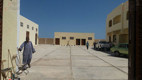 جراد (3)