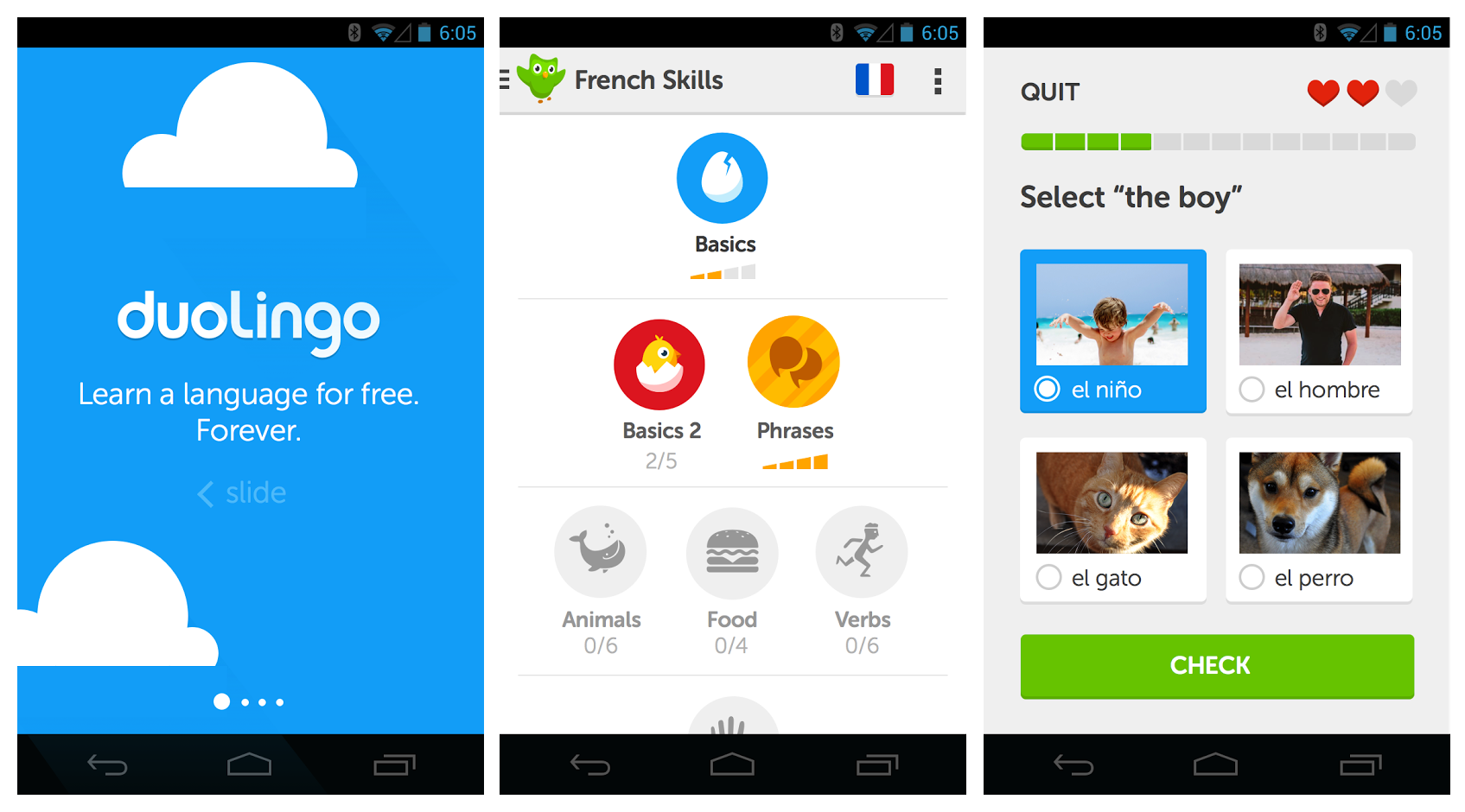 duolingo_screenshots