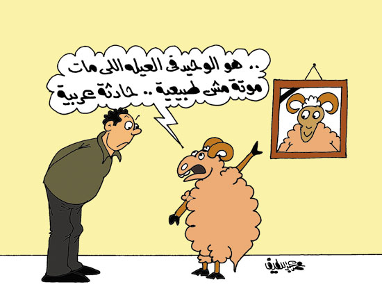 كاريكاتير اليوم السابع   (3)