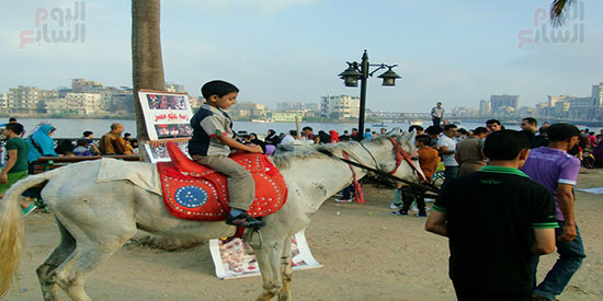 الأطفال يركبون الأحصنة