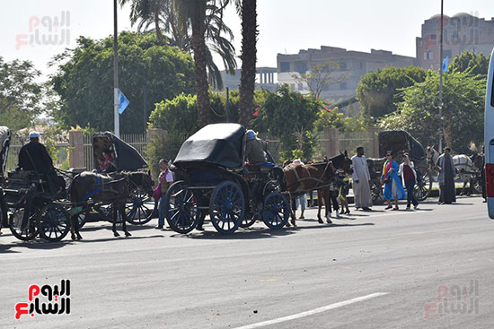  الحنطور يجذب الاهالي في العيد