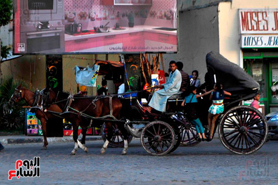 عربات الحنطور في جولات العيد بالاطفال والاهالي