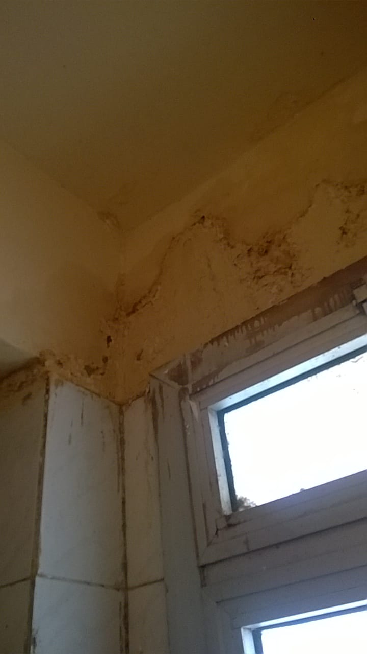 أحد الشقق من الداخل أحد الشقق من الداخل