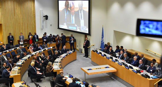 الرئيس السيسى يطرح على الأمم المتحدة 4 شروط لتسوية شاملة فى ليبيا (3)
